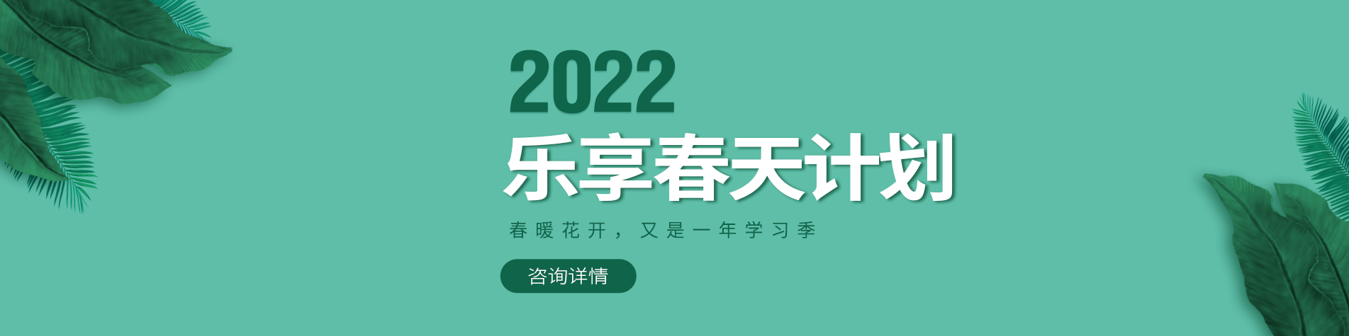 大鸡巴操小穴免费网站